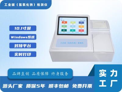 工业碱（氢氧化钠）检测仪